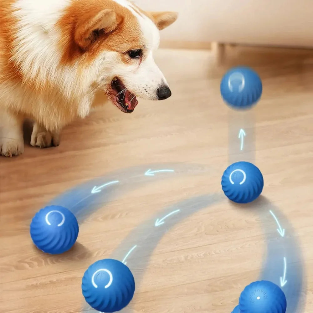 Bola de Salto Inteligente para Pets Brinquedo Automático Rotação Frete Grátis + 5% OFF