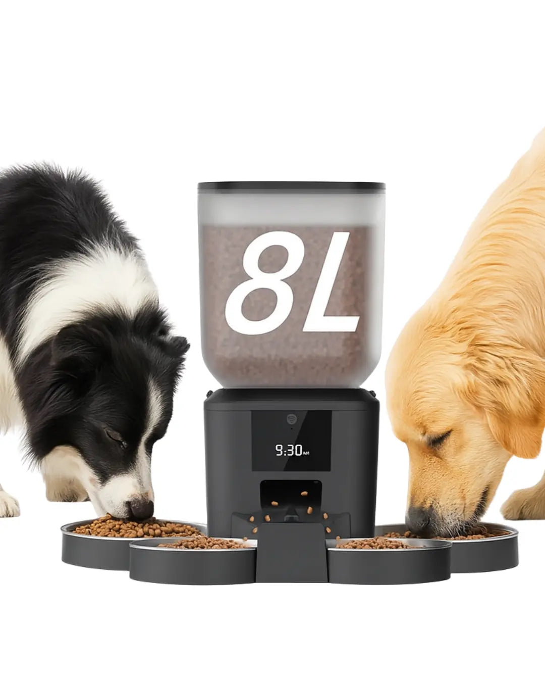 Alimentador Automático de Ração 8L para Gatos e Cães – Programável, Silencioso e Fácil de Usar